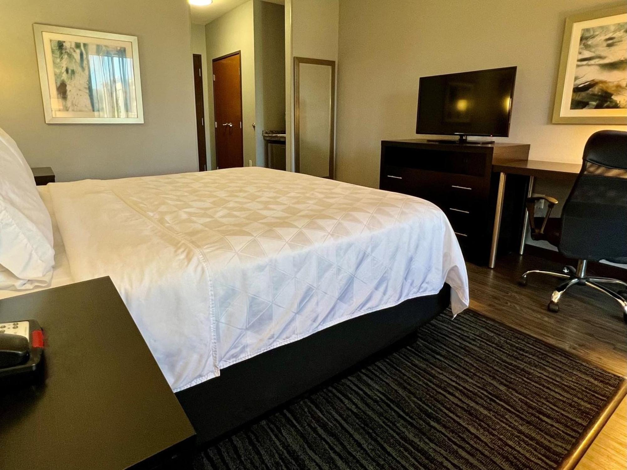Holiday Inn Carlsbad/San Diego By Ihg מראה חיצוני תמונה